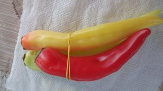 Domaće ljute roge vezica