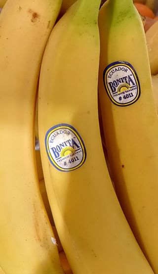 Banana Bonita
