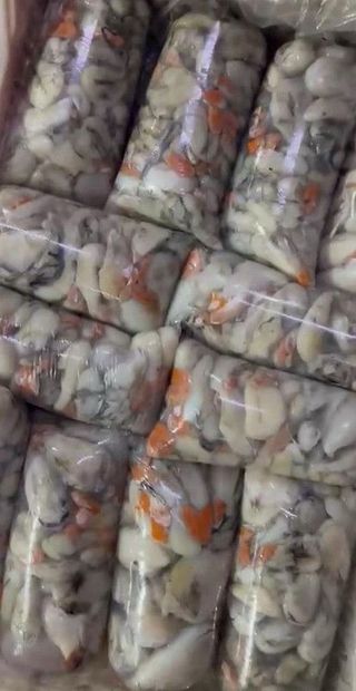 Œufs de Seiche au Kg