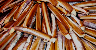 Moule Éventail au Kg