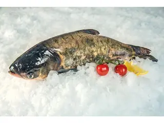 Novac 8-10 kg
