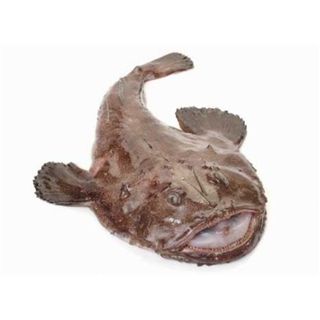 Cogi Svježa Grdoba 700g-3500g