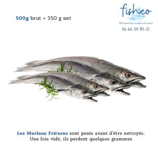 Friture Merlan 500g
