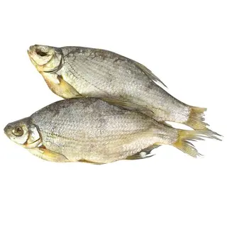 ჩებაკი