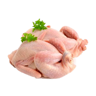 Locale Poule pondeuse ~1.3kg