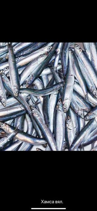 Хамса в'яслена 100г