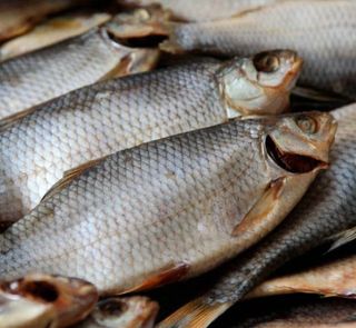 Плітка сушена 100г