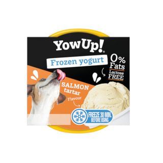Ice Cream Yogurt Salmon Tartar 110Gr 1 unidad