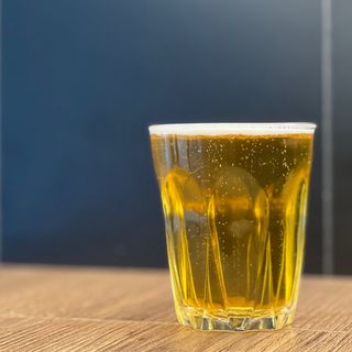 Wild Brewer AGARA 1l