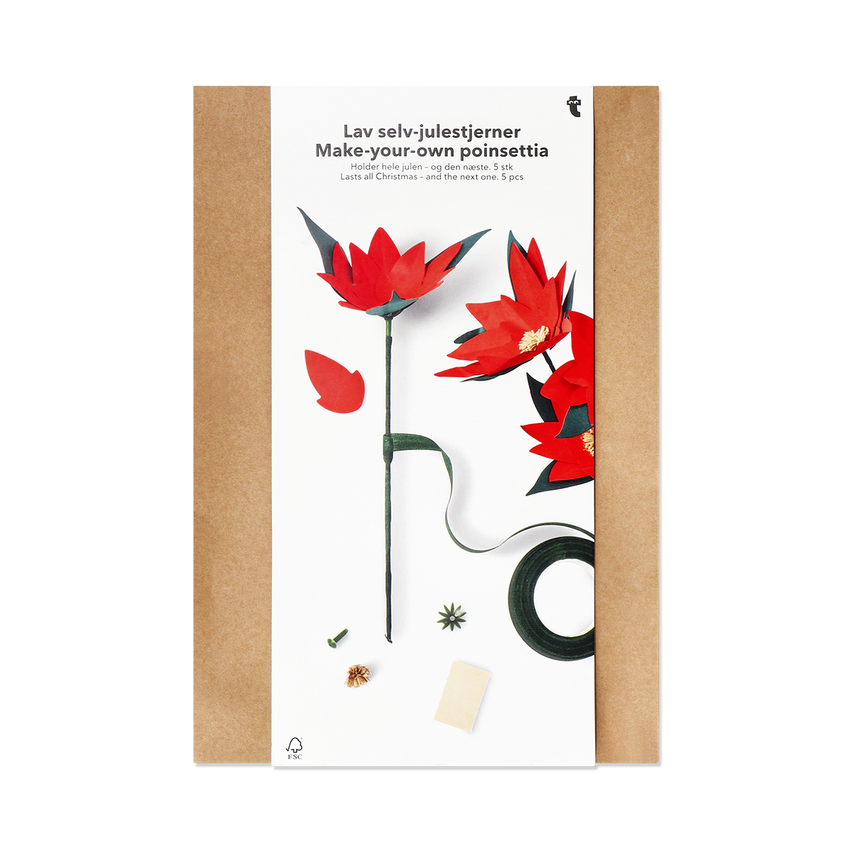 Creatività E fai da te natalizio