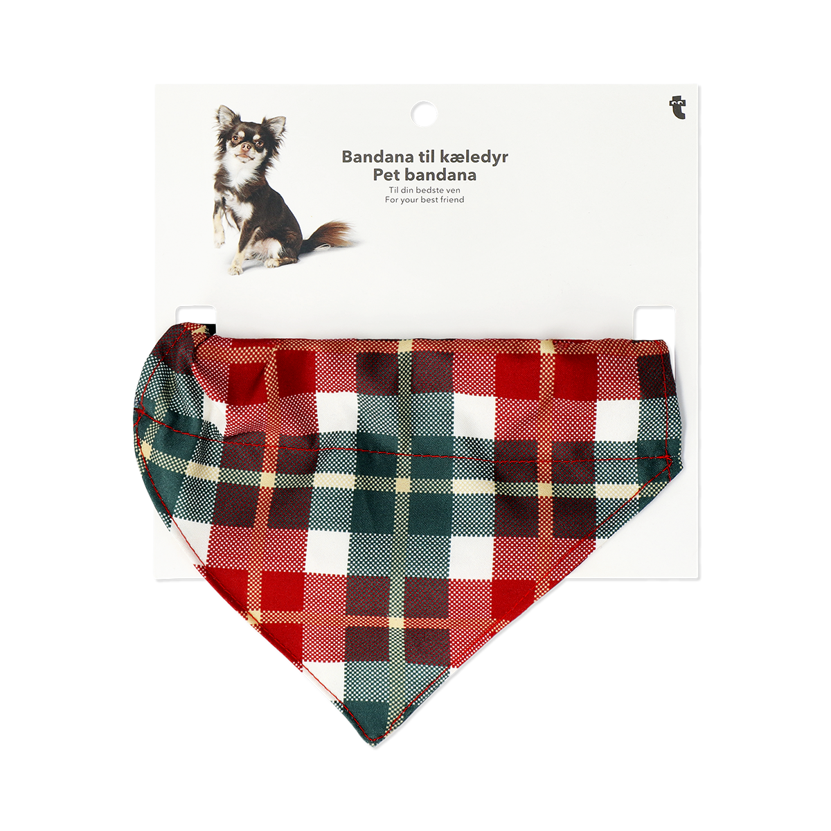 Natale Amici a quattro zampe