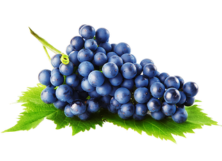 Raisins Noirs, Frais