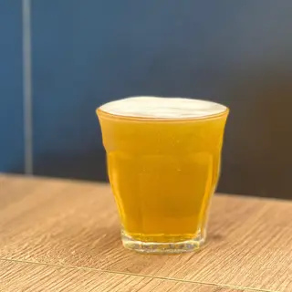 APA Seahorse 1l