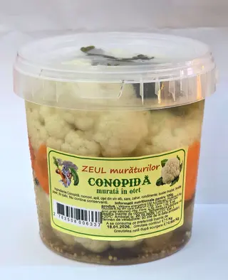 Conopida murata in otet de la Zeul muraturilor
