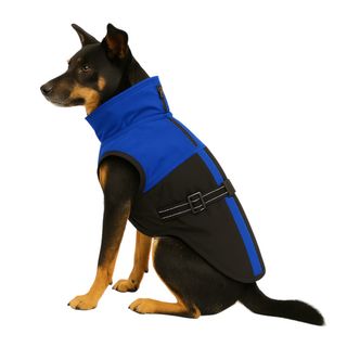 Outech Capa de Chuva Azul para cães 30CM