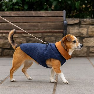 Outech Casaco Estilo Aviador Rosa e Azul para cães T-40