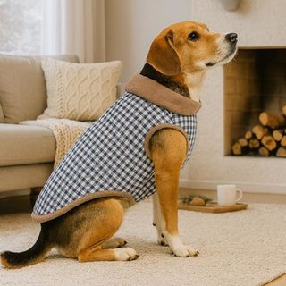 Outech Casaco Bomber Vichy Navy para cães