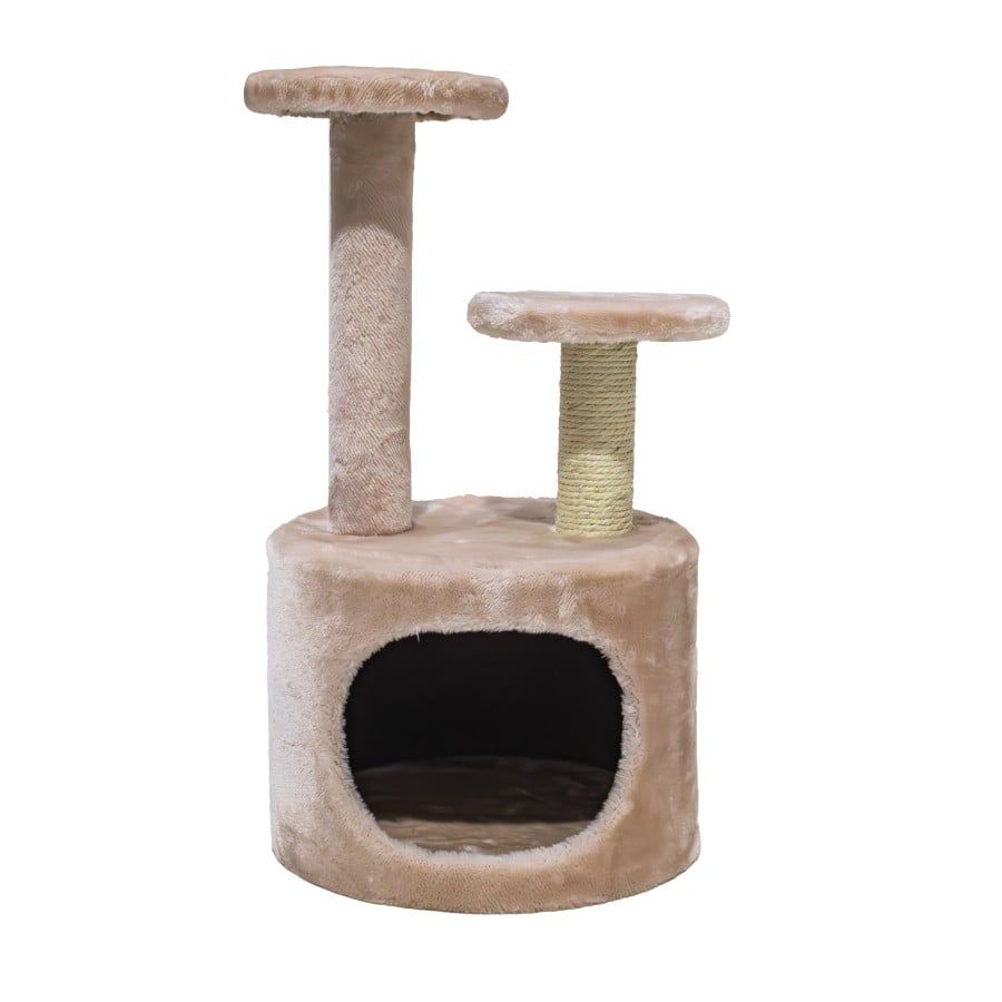Acessórios Gato