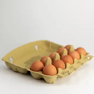 Egg Xl Mart 10 Pieces