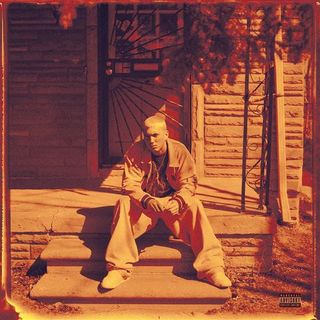 Lp-marshall mathers (25 aniv)(2lp)