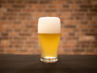 "Cronenburg 1664 Blank" st. n/f 4.8% 1 l.