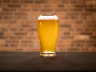 Вайсбург Бланш 4,7% н/ф 1 л.