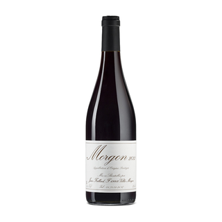 Jean Foillard Morgon Classique '22