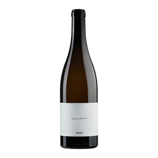 Milan Nestarec Umami '21