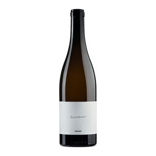 Milan Nestarec Umami '21