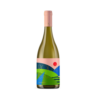 Troupis Winery Route Gris '20