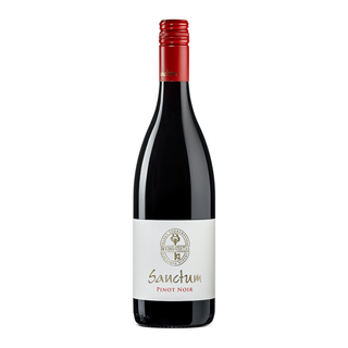 Sanctum Pinot Noir '22