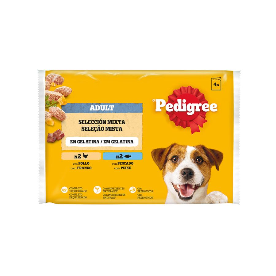 Pedigree Frango e Boi com Legumes Molho em Saquinho para Cães - Multipack