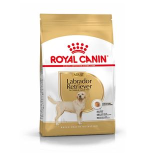 12 KG Royal Canin Adult Labrador Retriever pienso para perros