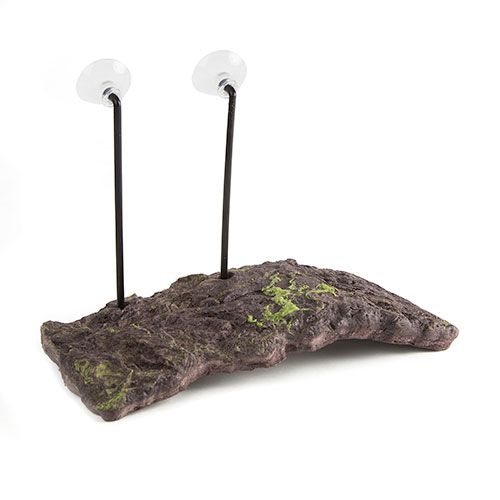 Terrários e Tartarugeiras