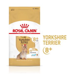 Royal Canin Adult +8 Yorkshire ração para cães - 1.5KG
