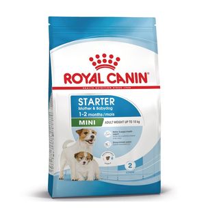 Royal Canin Starter Mother&Baby Mini pienso para perros   1 kg