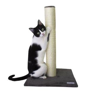 Catshion Pole Maxi Grey