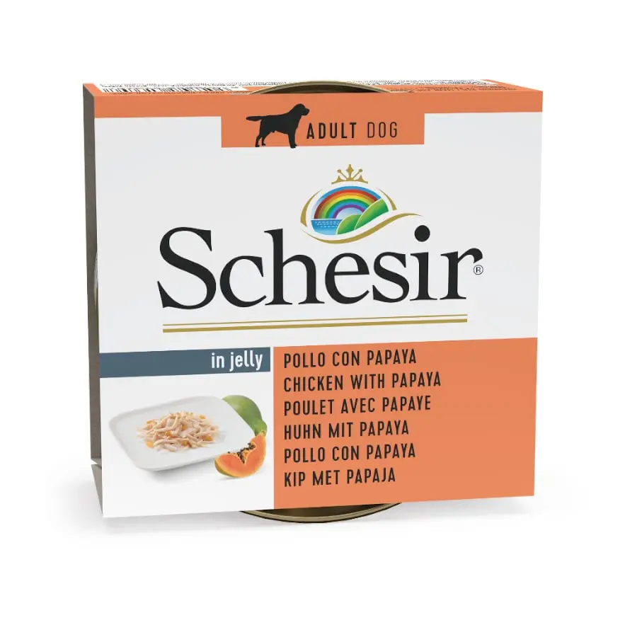 Schesir