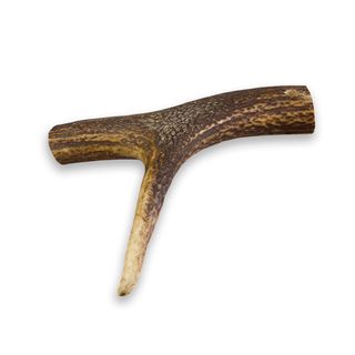 True Origins Asta de Ciervo Wild para perros S