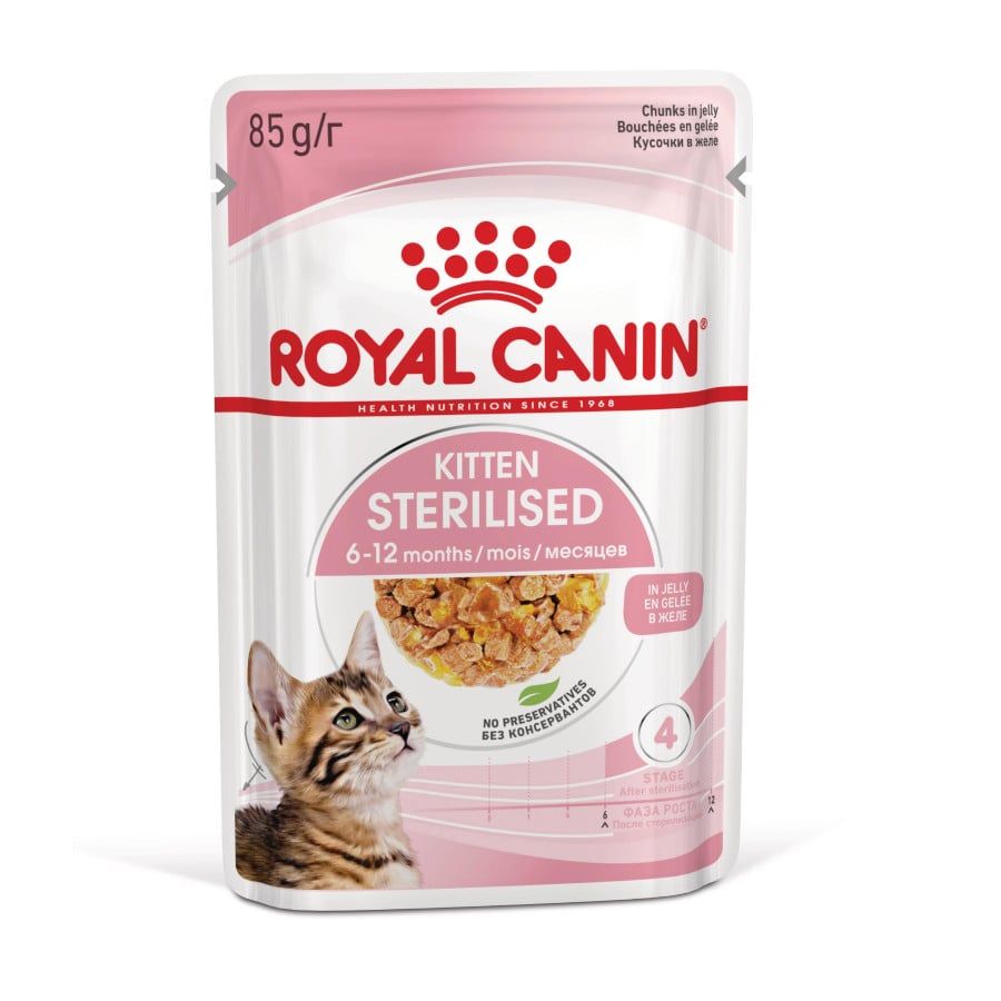 Comida Húmida Gatinho