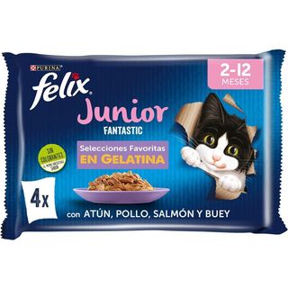 Felix Fantastic Junior 4X85G