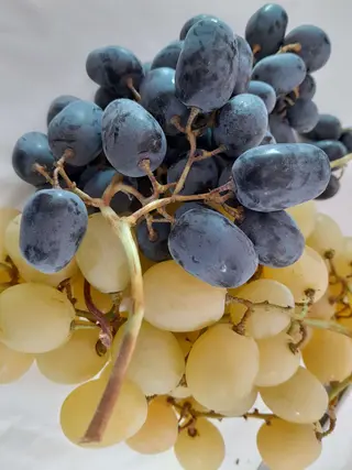 Mix grožde 1kg