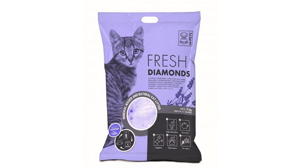 კატის ჰიგიენა