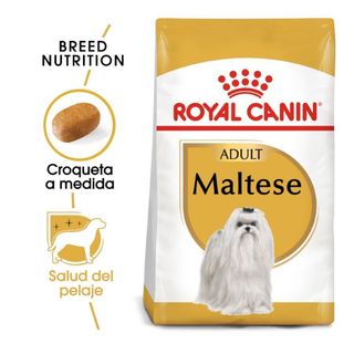 Royal Canin Adult Bichón Maltês croquettes pour chiens - 1.5KG