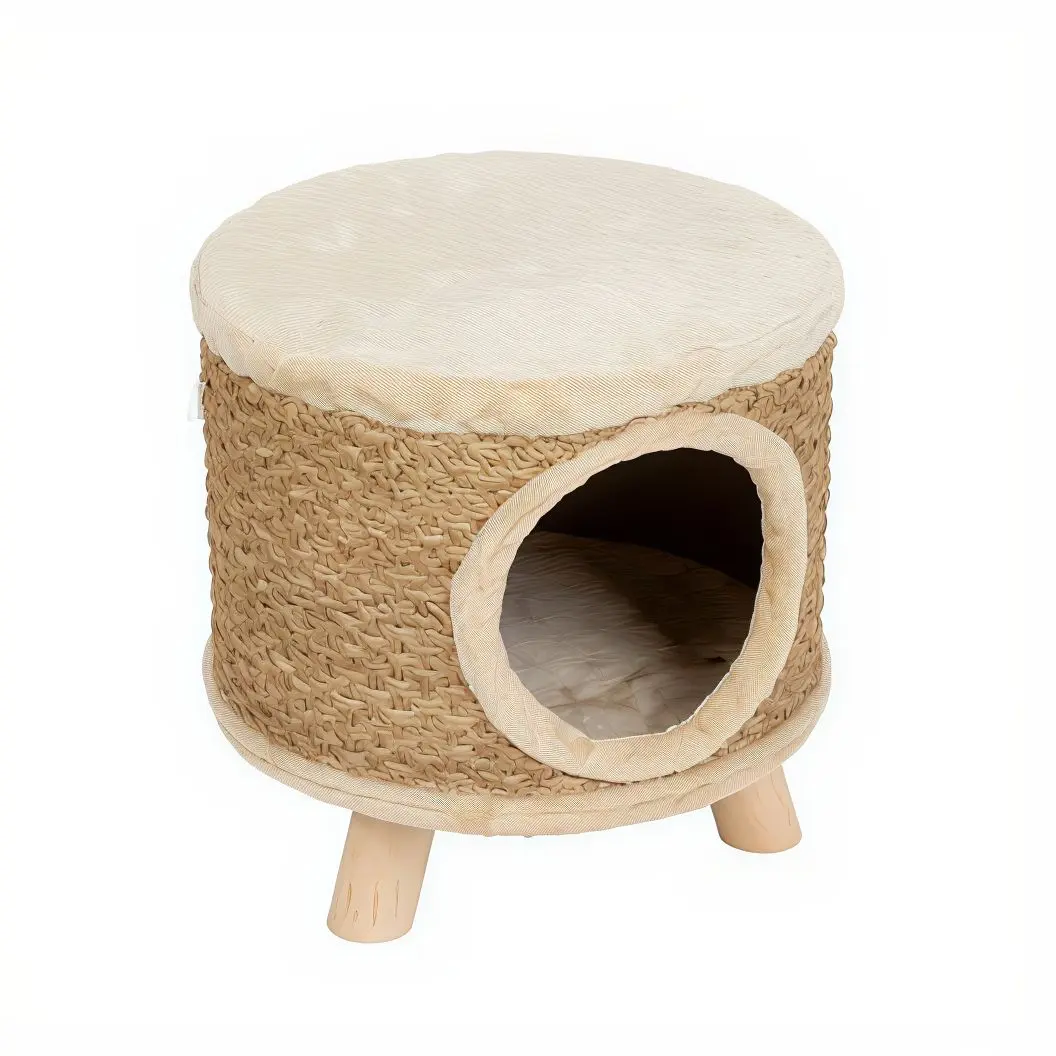 Acessórios Gato