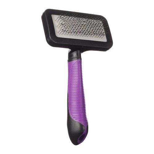 Saúde e Higiene Gato