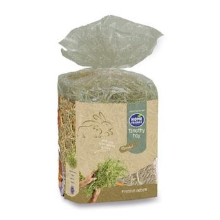 Home Friends Heno Timoty