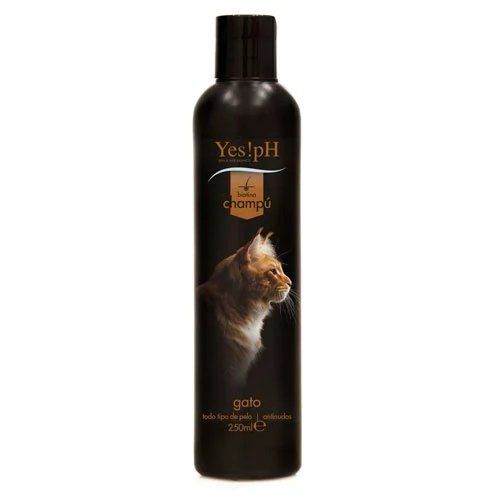 Saúde e Higiene Gato