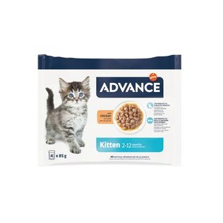 Advance Húmedo Gato Junior Pack (Surtido)