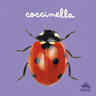 Coccinella, di Micol Doria, 9788893933636